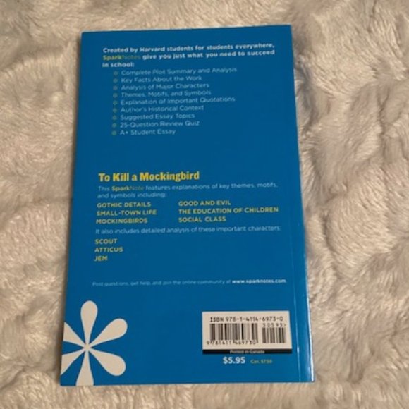 To Kill a Mockingbird, Huckleberry Finn - Picture 8 of 11